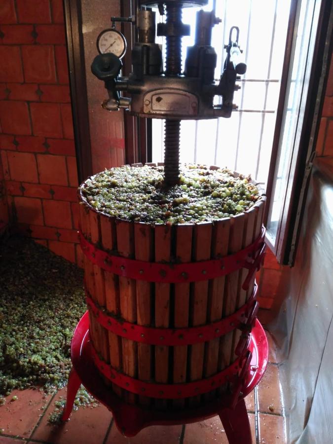 Casa Rural La Bodega, Ofrece Cata De Vino Gratis Horche Esterno foto