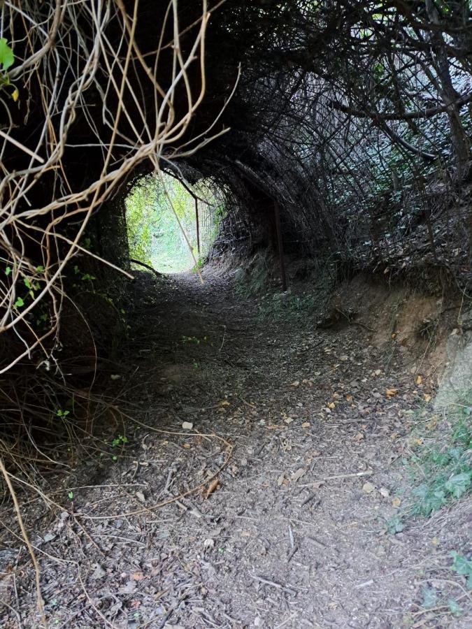 Casa Rural La Bodega, Ofrece Cata De Vino Gratis Horche Esterno foto